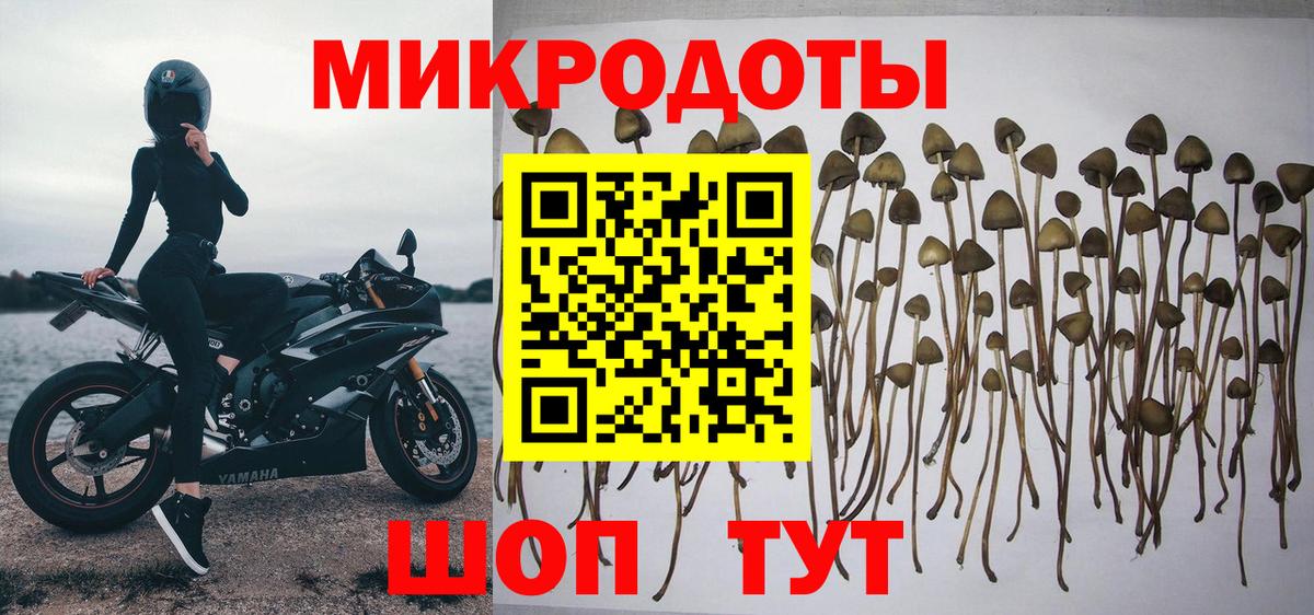 Галлюциногенные грибы мухоморы  Псилоцибиновые грибы Psilocybe  Вход с VPN  Знаменск 