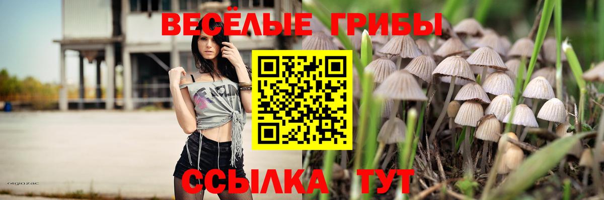 Галлюциногенные грибы GOLDEN TEACHER Знаменск